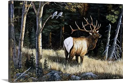 Elk Canvas Wall Art Print Wildlife Home Decor • $49.99