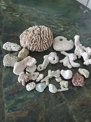 $22 • Buy Lot Of Natural Fossil Brain Coral Sea Ocean Specimen Aquarium Display
