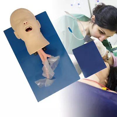 $195 • Buy Intubation Manikin Study Teaching Training Model Airway Management Trainer Kit