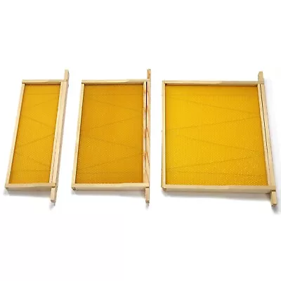 National Beehive Wired Wax Foundation Sheets And Frames Beekeeping • £21.99