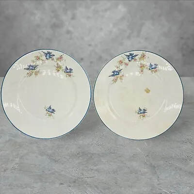 Antique Thompson Pottery Bluebird Dinner 9  Plate LOT Of 2 Plates • $39.99