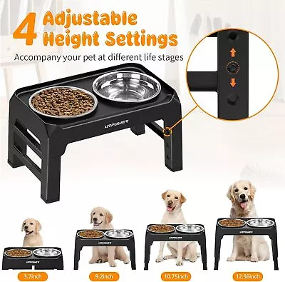 Elevated Raised Pet Dog Feeder Bowl Stainless Steel Food Water Stand+ 2pcs Bowls • $15.91