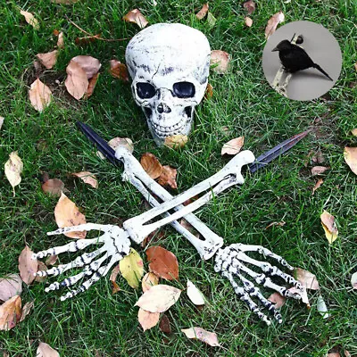 Halloween Skeleton Ground Breaker Garden Prop Grave Simulated Crow Decoration UK • £13.99