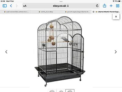 New Unwanted Large Liberta Atlantis Parrot Cage Antique Cost New £499 • £450