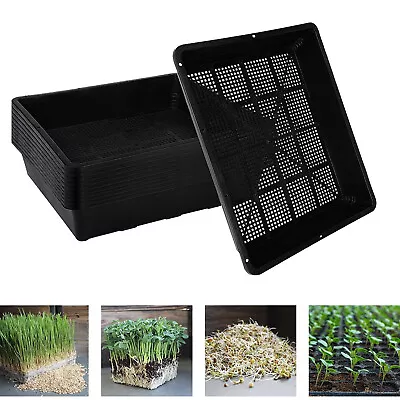 5x Seed Starter Trays Garden Growing Trays With Drain Holes Plant Trays Nursery • $17.99
