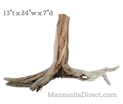 Rustic Aquarium Driftwood Stump / Reptile Decor From Manzanita Direct 0728-2 • $50