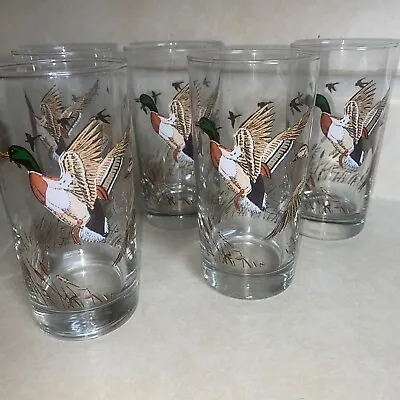 Libbey  Mallard Duck Highball  Glass Bar 5Tumblers  Hunting Vtg Outdoors Libby • $29.99