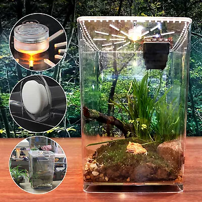 Acrylic Reptile Terrarium Gecko Lizard Snake Spider Vivarium Cage Tank Commercia • $31.35