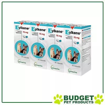 Zylkene Supplement For Dogs And Cats 75mg X 120 Capsules (30 Capsules X 4) • $137.74