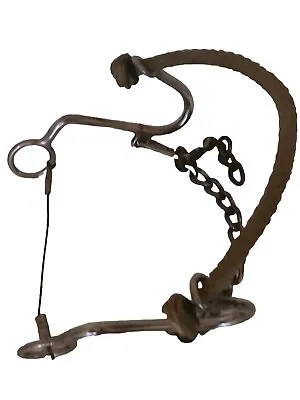 Reinsman Stage B Little  S  Hackamore 6  Cheek 10  Rope Nose 964 • $47.69