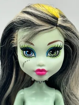 Monster High Frankie Stein Picnic Casket Doll Nude Articulated 2014 BHM97 Mattel • $9.99
