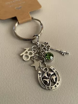 18th Birthday Good Luck Key Clover Horseshoe Lucky Charm Keyring Gift • £3.99