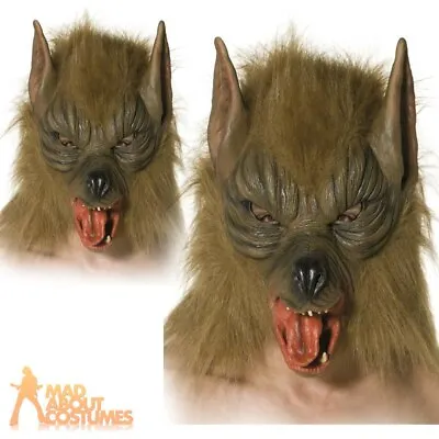 £20.99 • Buy Adults Overhead Wolf Mask Brown Werewolf Mens Halloween Fancy Dress Accessory