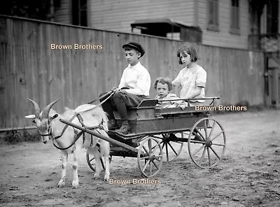 1900s Farming Animals Children Ride In Goat Cart Glass Camera Negatives #4 (2) • $19.97