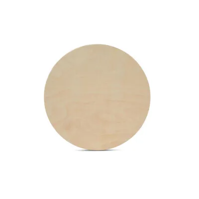 Wood Circle Discs 7 Inch 1/2 Inch Thick Unfinished Birch Rounds | Woodpeckers • $345.99