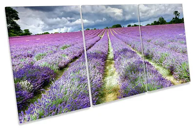 Lavender Field Banstead Surrey Picture CANVAS WALL ART TREBLE Print Purple • £62.99
