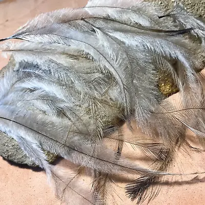 100 PREMIUM Australian EMU Feathers - EARRINGS CLOAKS FLY FISHING JEWELLERY • $32