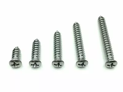 100 Pcs #10 With #6 Phillips Oval Head Chrome Trim Screws Fits Ford Mercury • $18