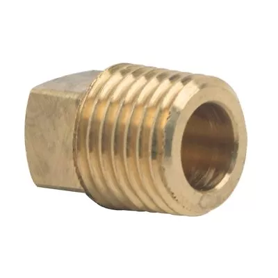 Brass 3/4  Male Npt Pipe Plug Square Head Cored Fuel Oil Gas Liquid • $2.35