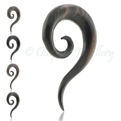 £7.48 • Buy Wood Tail Spiral Ear Plug Curly Thai Horn Taper Stretcher Hanger Body Piercing