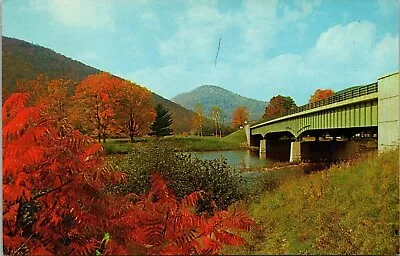 Pioneer Valley Mohawk Indian Bridge Deerfield River Trail VTG Postcard UNP • $2.75