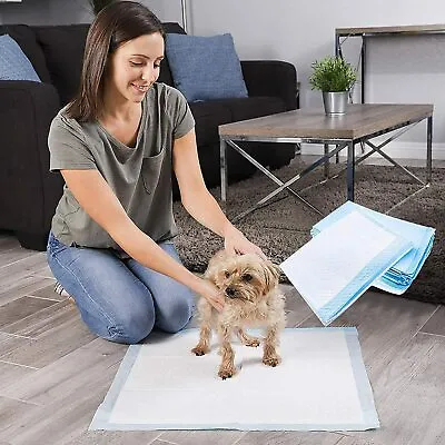£15.89 • Buy 100 Puppy Training Trainer 6 Layers Pads Toilet Pee Wee Poo Dog Pet Cat Mats