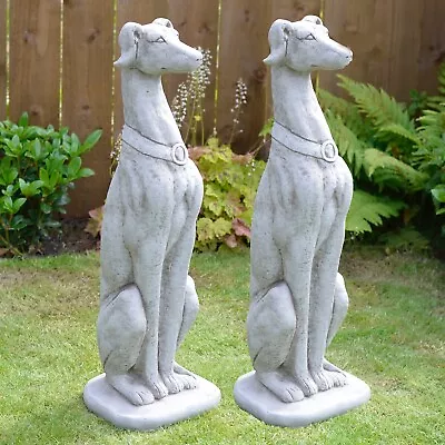Life Size Greyhound Pair Hand Cast Stone Outdoor Garden Ornament Dog Statue Gift • £149.90