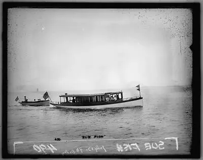 Sue Fishlaunchsteam Yachtswater VesselsboatsshipsDetroit Publishing1896 • $9.99