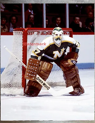 NHL Minnesota North Stars Goalie Gilles Meloche Color Game Action 8 X 10 Photo  • $5.59