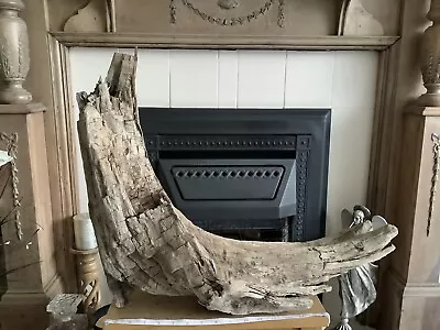 £25 • Buy Driftwood , Aquarium, Vivarium, Art, Craft,shop Window/Floral Display,