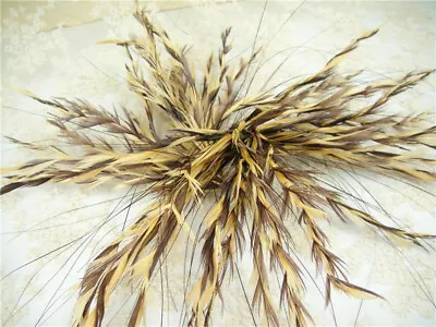 80 Colors Goose Biot Twisted Mount Peacock Feather Millinery Hat Fascinator Trim • $12.51