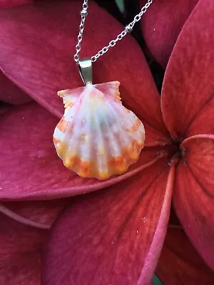 Sunrise Shell Necklace With Sterling Silver Chain • $65