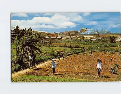 Postcard Garden Scene At Da Lat In The High Country Da Lat Vietnam • $6.97