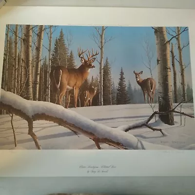 Whitetail Deer Print.   Winter Rendezvous   By Gary Sorrels. • $59.95