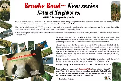 Brooke Bond Advert: Natural Neighbours.  'Photo Shop'  Reproduction. • £1.99