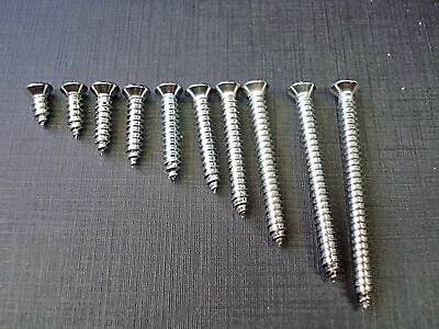 200 Pcs 10 Sizes #8 With #6 Phiilips Oval Head Chrome Automotive Trim Screws • $28