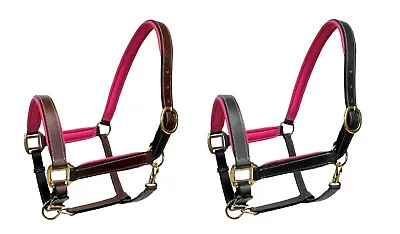 Equitem Leather Halter With Pink Padded Crown And Nose In Full Cob Or Pony • $42.99