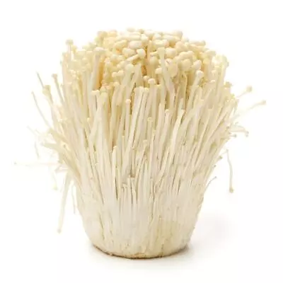 100 G Of Enoki Mushroom Grain Spawn US Seller!!! • $15