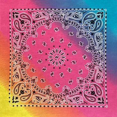 $7.40 • Buy Carolina Creative Bandanna (Pastel Rainbow) Paisley Print 22  X 22  Hav-A-Hank