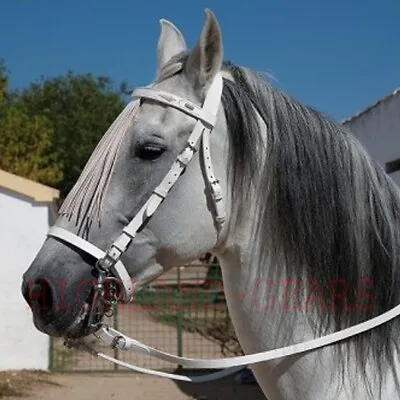 Western Fancy Fringe Style Horse Tack Leather Snaffle Bridle & Reins Set - White • $115