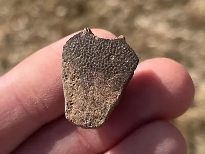 $4.99 • Buy Montana Fossil Turtle Shell Hell Creek Cretaceous Age Bone