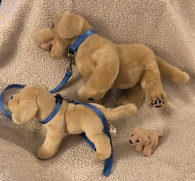 My Twinn Poseable Pets Yellow Lab Dogs Large Medium And Small W/ Collars & Leash • $68.99