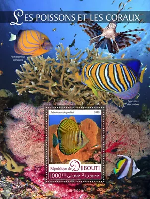 Djibouti 2019 MNH Fish & Corals Stamps Red Sea Sailfin Tang Fish 1v S/S • £9.99