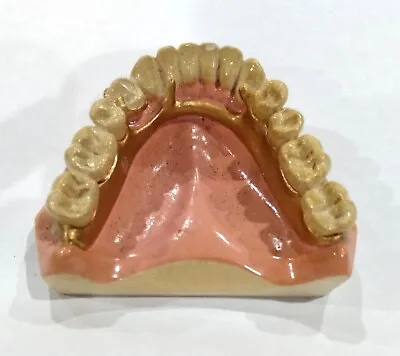 Vintage Dental Partial Denture Sample Oddities Medical Collectible Plaster • $52