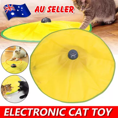 Electronic Cat Toys Rotating Mouse Interactive Toy Training For Pet Kitten Dog • $19.95