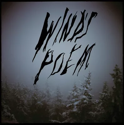 Mount Eerie Wind's Poem 2x Vinyl LP Record MP3 & Poster! Foil Stamped Cover! NEW • $28.99