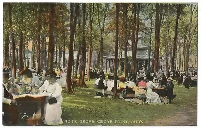 Cedar Point Ohio OH Picnic Grove Gathering 1911 • $3.99