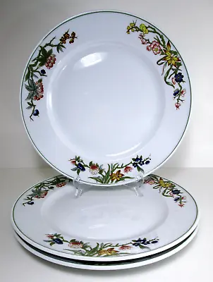 3 Schonwald Dinner Plates 11  Floral Green Blue Pink Porcelain Germany 9299 • $25.60