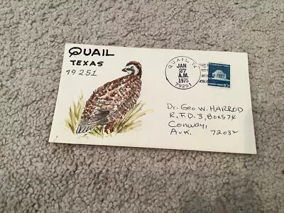 1975 QUAIL Texas: FOLK ART WATERCOLOR Postal Cover GEORGE HARROD • $52.64