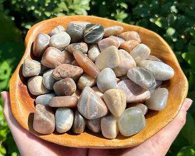 1 Lb Bulk Wholesale Lot Moonstone Tumbled Stone (Crystal Healing Reiki Tumble) • $29.95